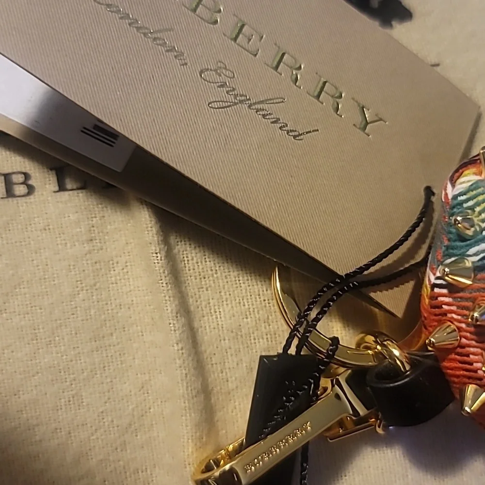 🦈💙BURBERRY Shark Charm💙🦈